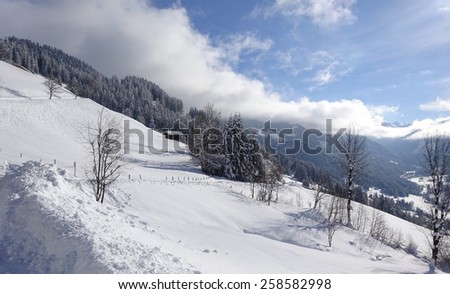 Winter landscape at alps, Europe,  Austria