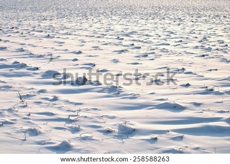 Snowy field - full picture of snow with shadows