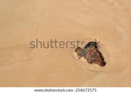 Stone on a sandy beach by the sea.