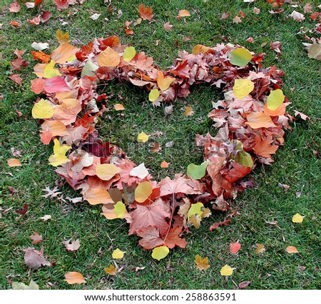 Heart made of colorful  leaves on the grass.