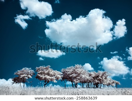 Trees on the hill and cumulus clouds, infrared (IR) landscape