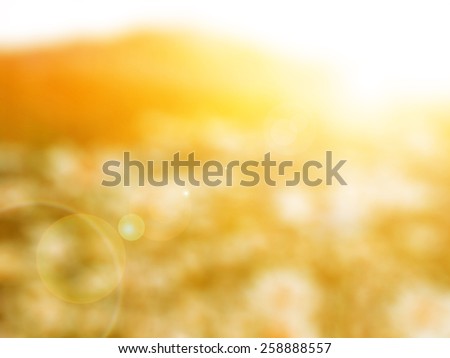 flower field,abstract blur background for web design,colorful, blurred, wallpaper,