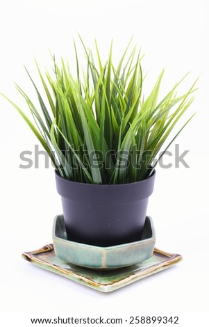 The artificial grass in the pot on white background