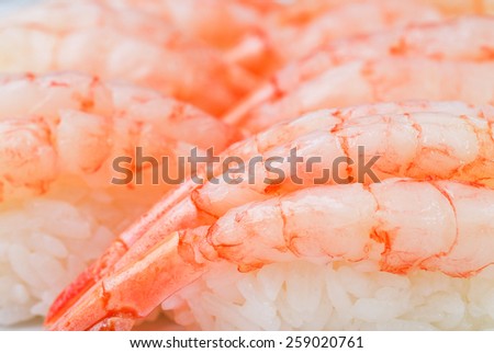 Japanese sushi, macro, sushi menu, sushi shrimp