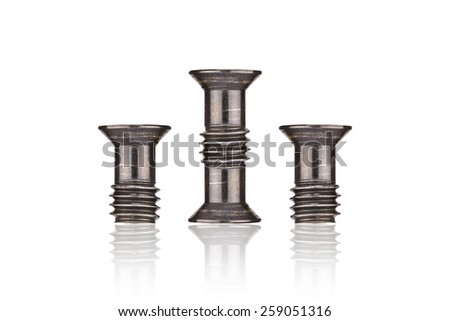 Stainless Black Screws ( bolts ) or nuts on the white background