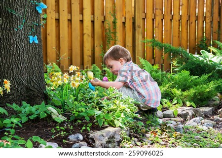 A little boy crouched down looking for colorful eggs in a garden on an Easter egg hunt during the spring season.  Part of a series. 