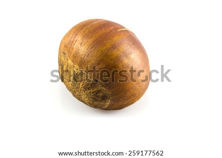 Single chestnut isolated on white background