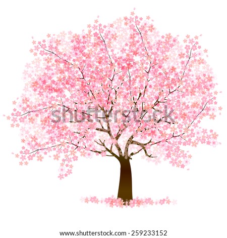 Cherry blossom background Royalty-Free Stock Photo #259233152