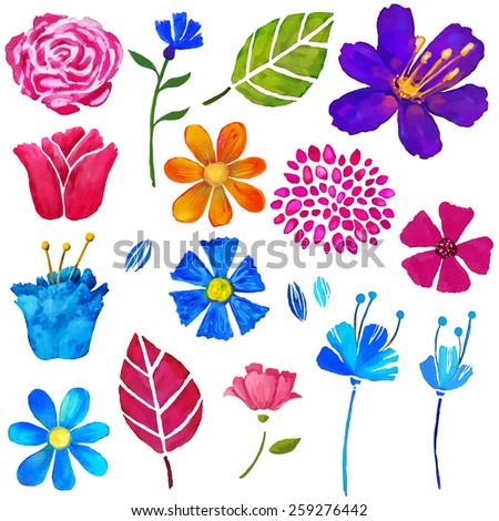 Hand painted floral watercolor set, different flowers and leaves isolated on a white background. Art design elements