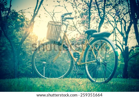 Classic Bicycle at sunset in the park or deep forest