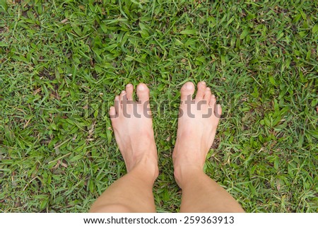 Bare female feet on the green grass