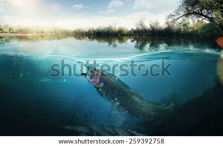 Fishing. Close-up shut of a fish hook under water Royalty-Free Stock Photo #259392758