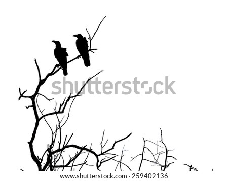Silhouette branch of dead tree and crow isolated on white