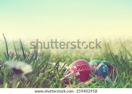 painted easter eggs in the field