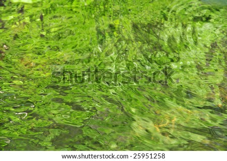 abstract forest stream green water background