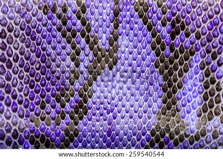Purple  python  leather, skin texture for background.