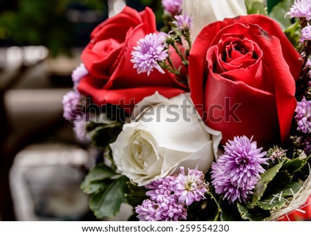 Closeup of a beautiful roses.Focus on flowers and  blur background.