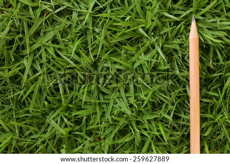 Wooden graphite pencil put on grass background represent the writing material related.