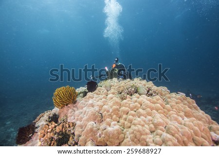 Scuba diver in coral reef as bubble rising.