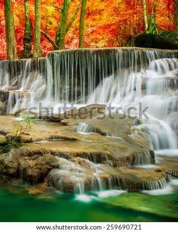 Beautiful waterfall in wonderful forest 