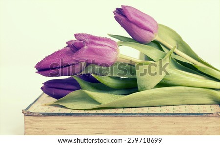Old book and purple tulips. Retro style toned picture