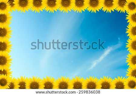 Frame made from sunflower background sky.