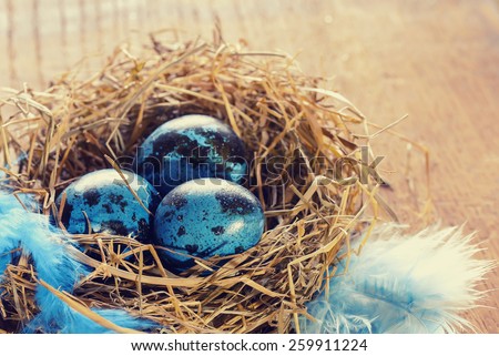 Blue spotted easter eggs in nest