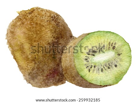 Kiwi fruit with slice. Watercolor realistic illustration.