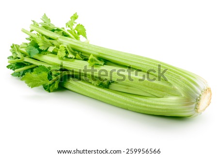 Celery isolated on white background Royalty-Free Stock Photo #259956566