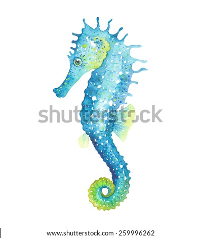 Watercolor seahorse, vector illustration.
