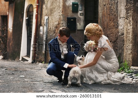 funny picture of bride and groom with the dog