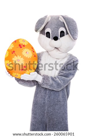Big Easter bunny hold colorful egg. Studio portrait isolated over white background