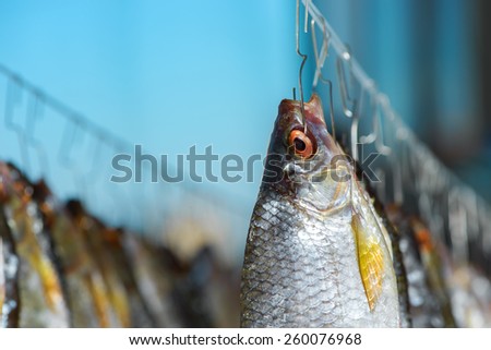 Hung dace fish drying on blue sky background