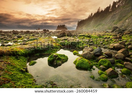 Olympic National Park landscapes Royalty-Free Stock Photo #260084459