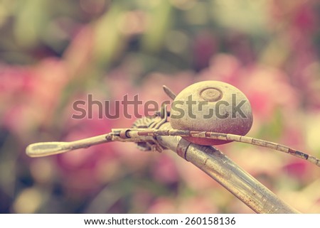 Close up in bell of antique bicycle decorate in flower garden - Color filter style pictures