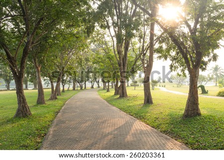 Trees and walkway on green grass field in the park at morning. Royalty-Free Stock Photo #260203361