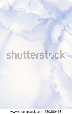 flower on soft pastel color in blur style