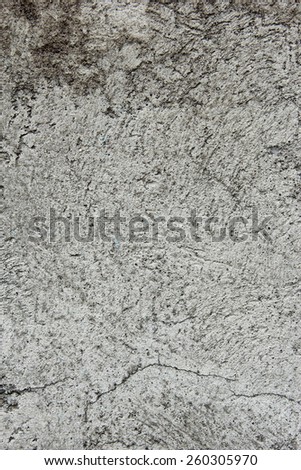 portrait of cracked concrete wall