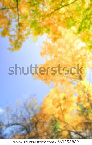 Autumn background with blurred leaves