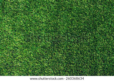 Background of a green grass