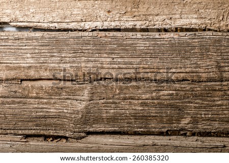 Macro of the old wooden plank background.