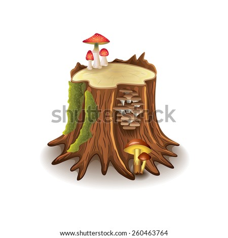 Stump with mushrooms isolated on white photo-realistic vector illustration