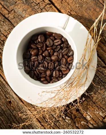 coffee beans focus 