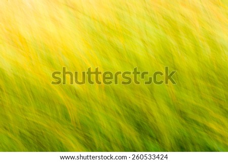 Bluured background with nature colors of yellow & green.