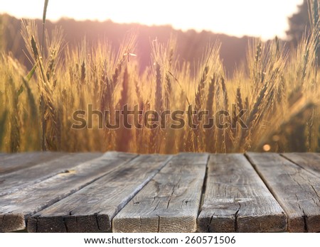 wooden table in front of wheat field on sunset light. Ready for product display montages