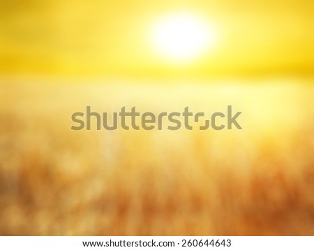 abstract blur background for web design, colorful , blurred flare, wallpaper,Summer field with golden wheat