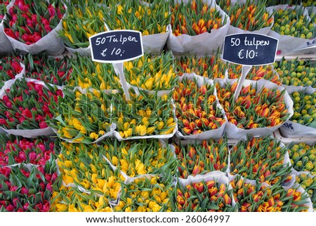 Tulips sale