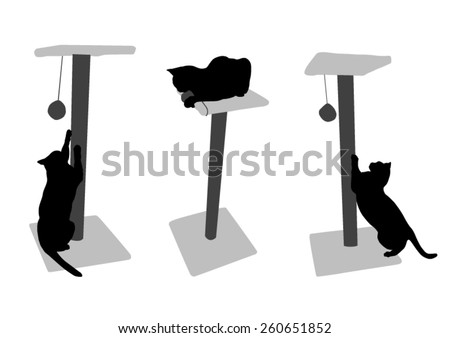 silhouettes of a cat on the scratching post 