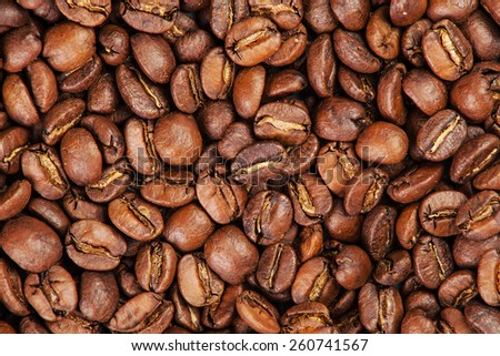  roasted coffee beans.  background texture