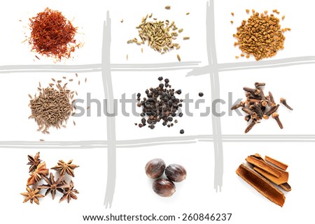 Set of different spices. Isolated on white background